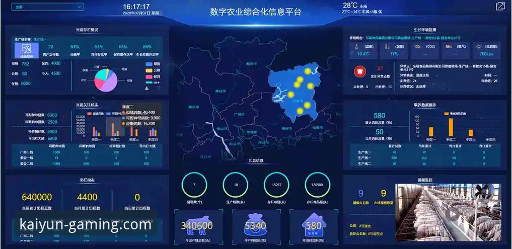 kaiyun竞猜平台提现问题全解析与高效操作指南